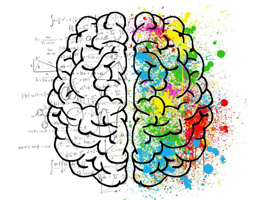 neuroplasticité