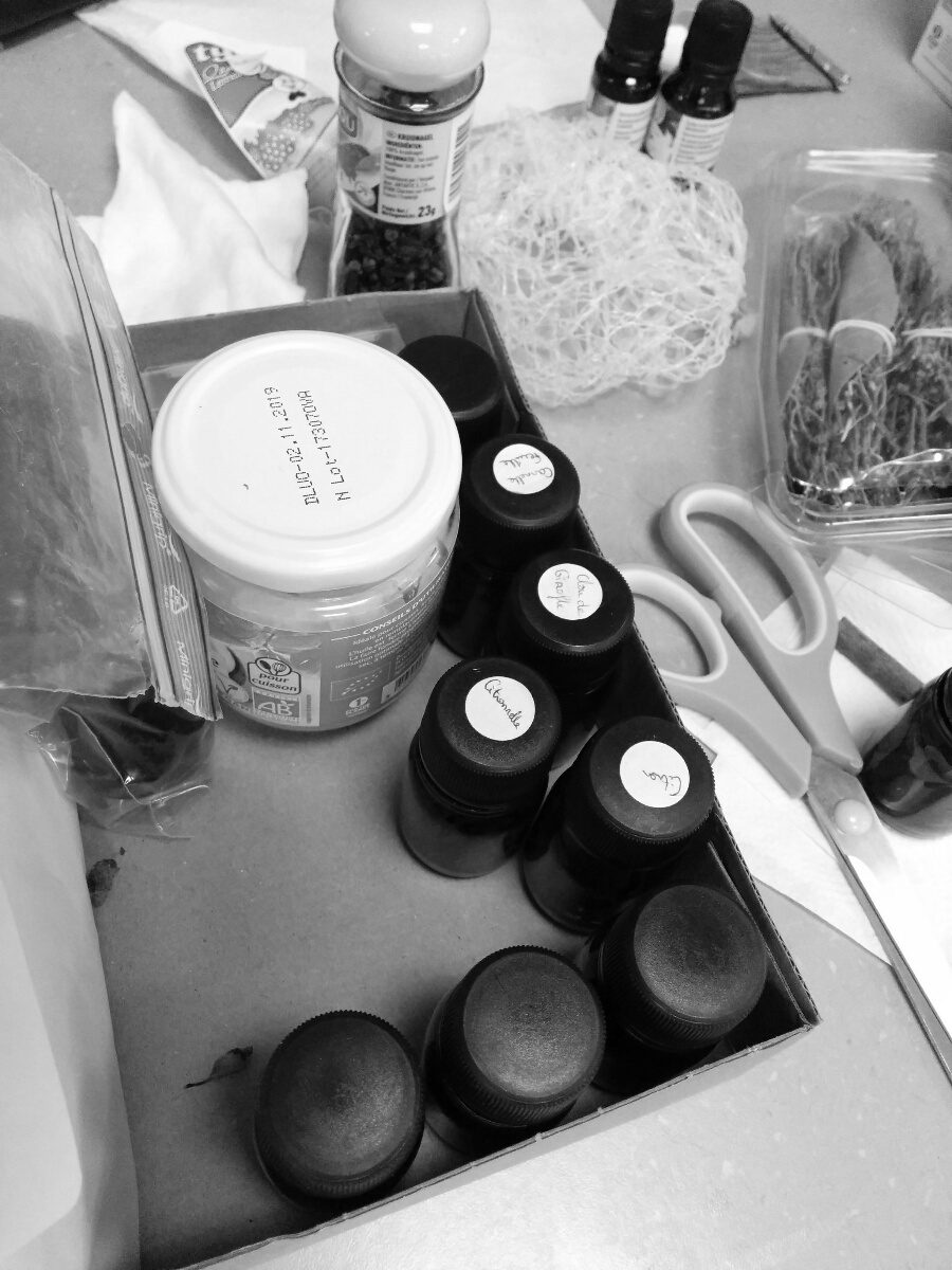 atelier olfacto